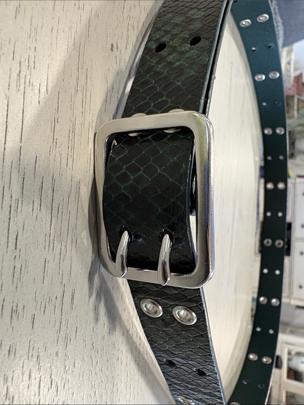 J. Crew Green Reptile Textured Accessory - Picture 6 of 12